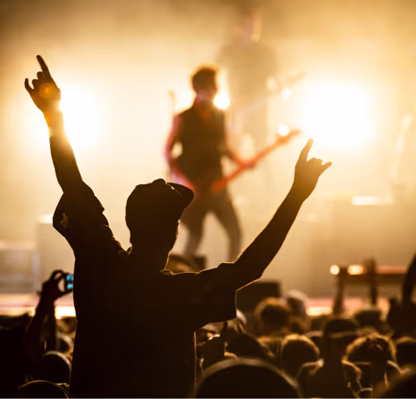 A crowd at a rock concert