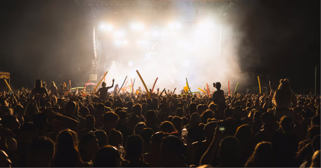 A big crowd at a concert